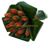 /album/kytice-tulipanu/bez-nazvu-png/